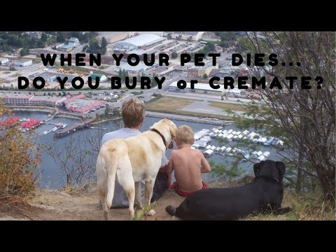What To Do When Your Pet Dies...