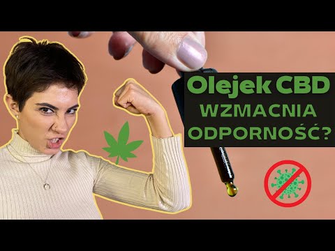 Czy olejek CBD poprawi Twoją odporność? 🌿