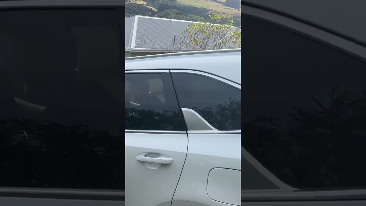 YouTube Short thumbnail