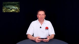 Форумы о рыбалке в рязанской области