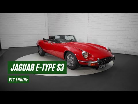 1974 Jaguar E-Type (CC-1611000) for sale in Waalwijk, Noord-Brabant