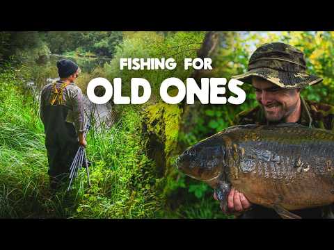 Jimmy's Diary | Fishing For The Old Ones