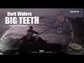 Fishing Port St Johns Targeting Raggies ASFN Rock Surf