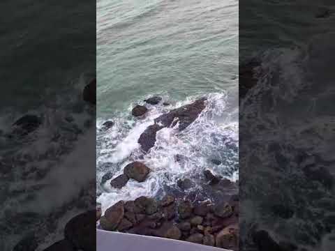 sea attraction 😻😻😻