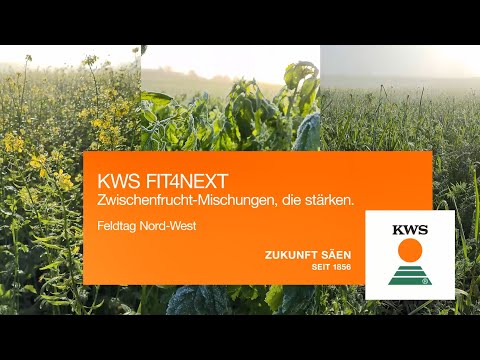 Feldtag Fit4NEXT Zwischenfrucht-Mischungen Nord-West