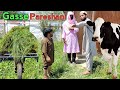Gasse Pareshani Kashmiri Drama