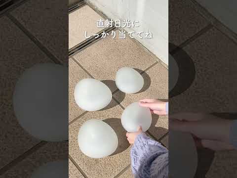 モダンガーデンチェルシーフラワーショー2018コンクリートステップキッチン夏