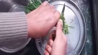 गेंहू के जवारे का रस (जूस) कैसे वनाऐं || How to make wheatgrass juice (gehu ka jwara) MK production - PRODUCT