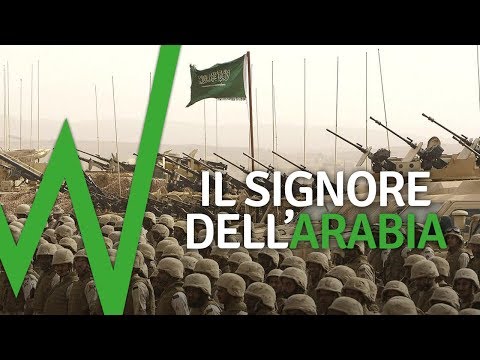 Proventi potenza Gainer e limpotenza