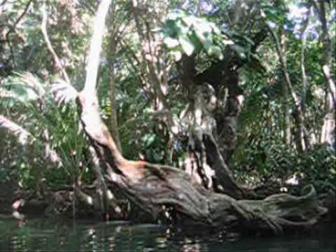 Karaiby 2005/2006, Boże Narodzenie, Nowy Rok, rejs turystyczny