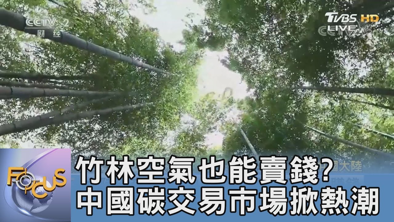 竹林空氣也能賣錢?中國碳交易市場掀熱潮