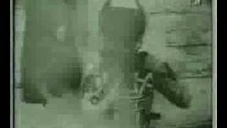 The Pastels - Yoga (1995)