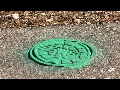 Tallahassee List Crawling Experts Share Tips