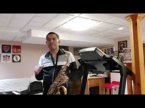 More Than Words by extreme saxophone cover