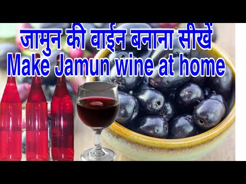 download lagu mp3 mp4 How To Make Jamun Wine, download lagu How To Make Jamun Wine gratis, unduh video klip How To Make Jamun Wine