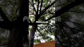 Download lagu Armada - Penggemar Beratmu mp3 Download lagu Armada - Penggemar Beratmu mp3