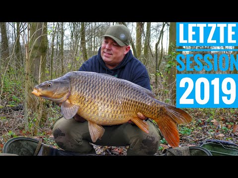 Karpfenangeln VTB 74 - Meine letzte Session 2019 am kleinen Fluss