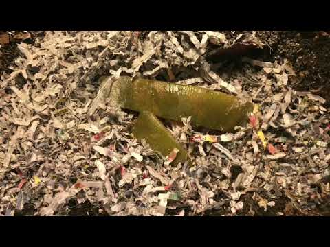 The European Night Crawlers: Harvest Preppin’