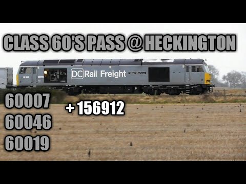 Class 60's 60046 & 60019 pass @ Heckington - 07/01/20