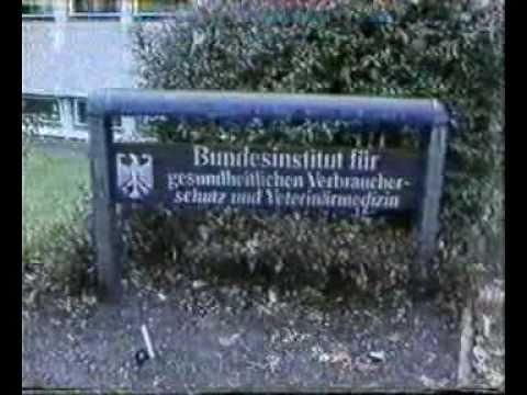 "Gesucht wird die Moral der Gutachter" mit Prof. Zilker Teil 2 von 2