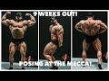 ROAD TO THE ARNOLD CLASSIC UK | EP 4-QUADS AT PURE MUSCLE & FITNESS