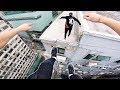 Rooftop POV Escape Hong Kong! 🇭🇰