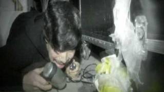 Cavalera Conspiracy - Sanctuary