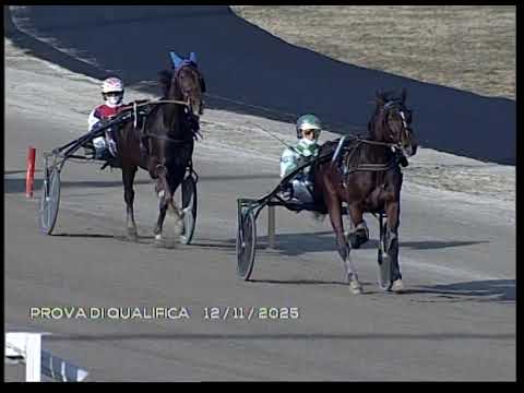 Prova di Qualifica 12/11/2025