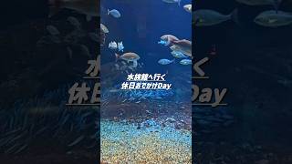マリンピア日本海に行ってきた！ #vlog #日常 #日常vlog