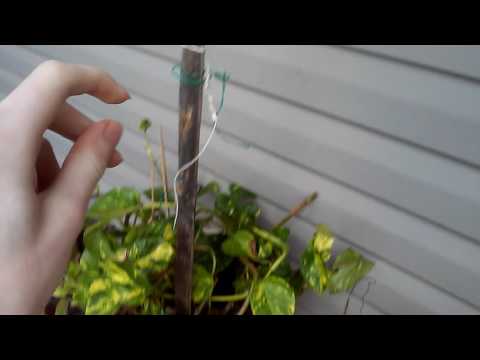 Is time to say goodbye to my 2005 ge 5000 btu window air conditioner