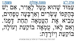 מסכת אהלות פרק י"ב משנה ז