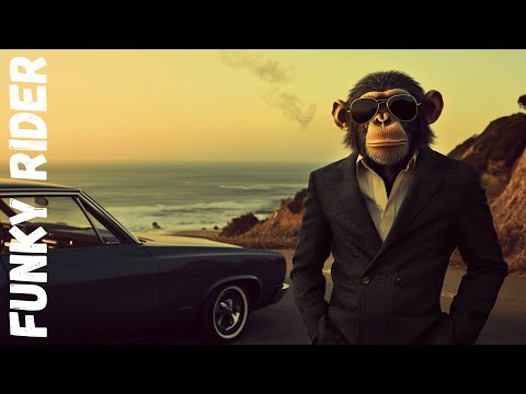 No Map Needed - (Funky Rider) - Groove Beats