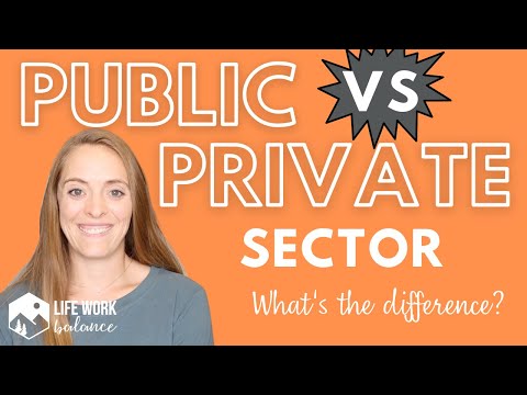 Public Sector vs Private Sector: What's the Difference?? What is a Government Job?