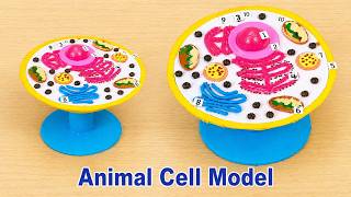 Animal cell model 3d for science project exhibition | biology project