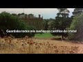Canción para mi muerte - Sui Generis || Letra