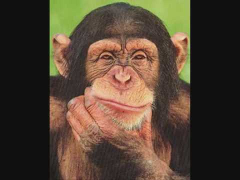 Hume's Guillotine, Euthyphro's Dilemma and the AtheistAntidote