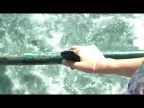 Kesha and Babetta in hardcore