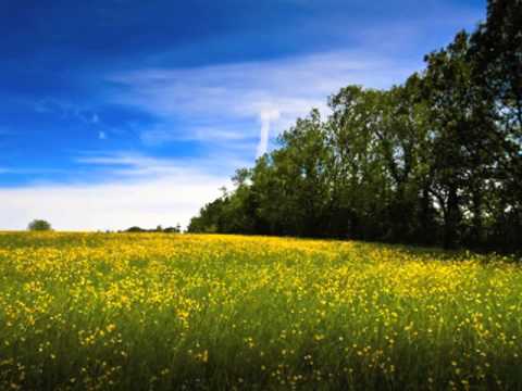 Matthew Beattie - Bynna's Wooded Pasture