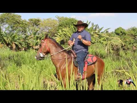Sagrados Recuerdos - Villamil Torres El Cantante Coleador