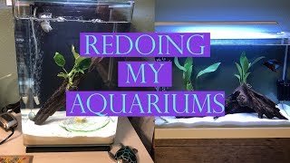 Redecorating My Aquariums! | Tying Plants To Driftwood