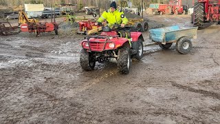 Quad Suzuki Eiger | Image 4 - Autoline