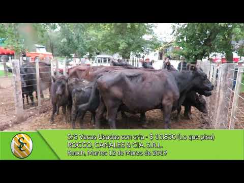 12-03-19 - Venta de Vientres - Rocco Canales & Cía. S.R.L. - Rauch