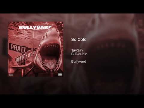 TaySav x BuDouble - So Cold [Official Audio]