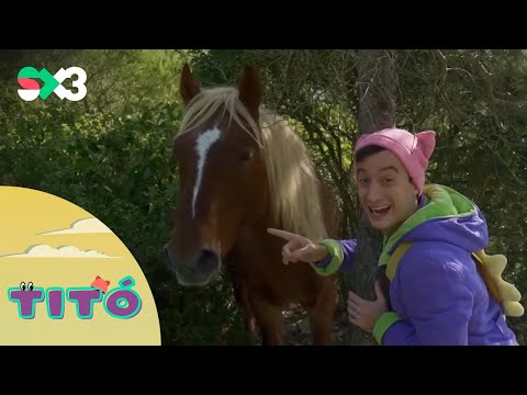 Excursió amb cavalls | Titó