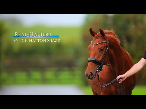 Young Star Sales - Real-Hatton ( Fynch Hatton X Jazz )