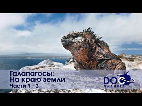 Галапагосы: На краю земли - Все части - Документальный фильм