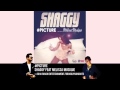 #Picture   Shaggy feat Melissa Musique Official Audio