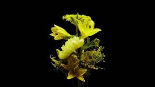 Download lagu Timelapse by botanical sculpture Azuma Makoto mp3