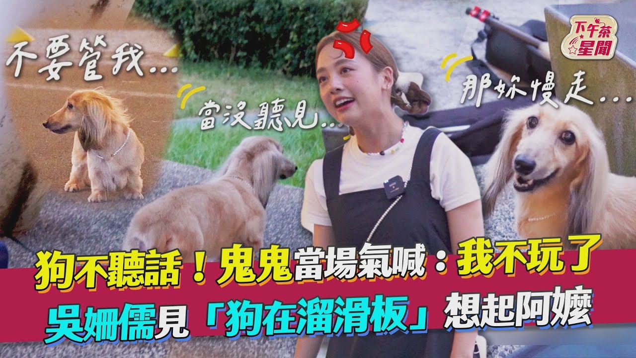 影音／鬼鬼被狗氣到大喊：我不玩了　河濱見「狗在溜滑板」