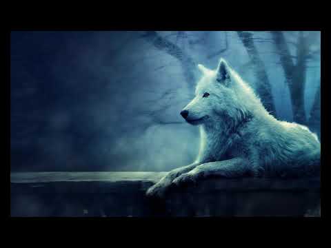 Video thumbnail for Steppenwolf
